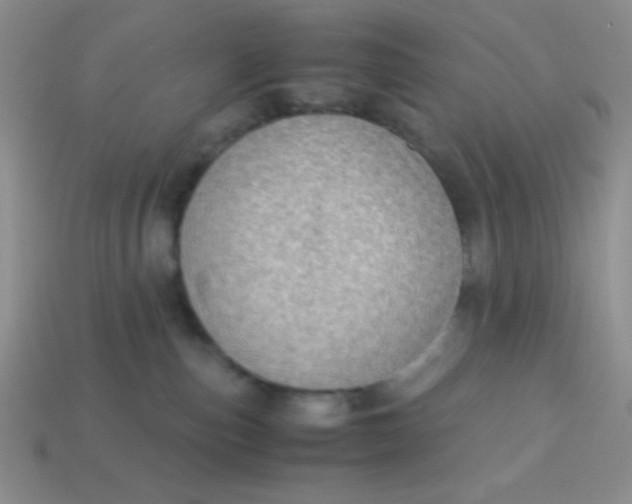 X0000113590187200910091507