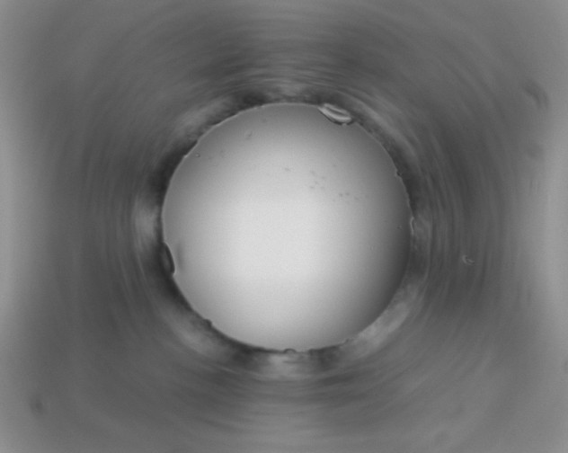 X0000113590188200910091507