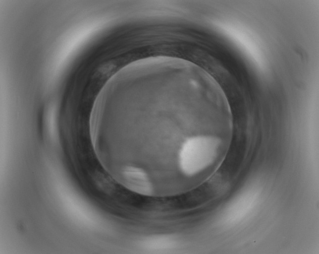 X0000113590189200910091507