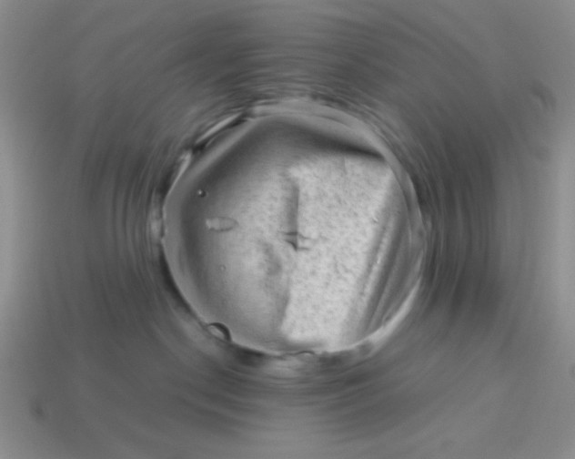 X0000113590190200910091507