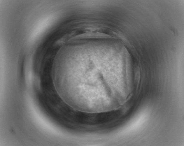 X0000113590191200910091507