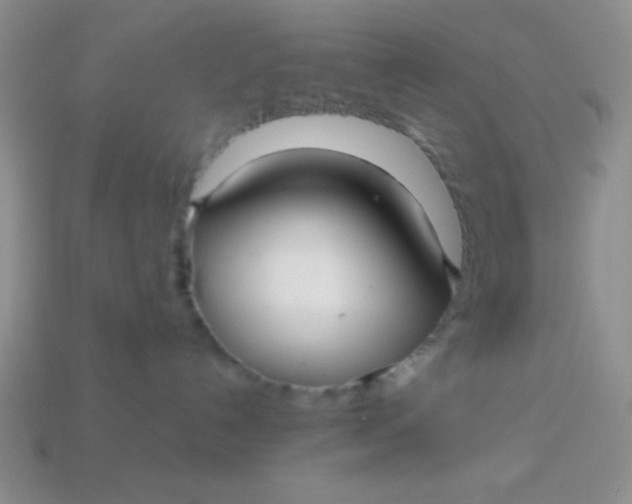 X0000113590192200910091507