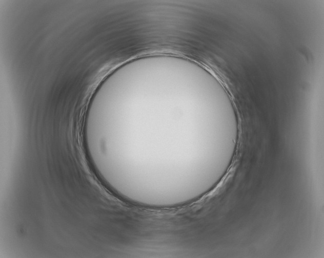 X0000113590193200910091506