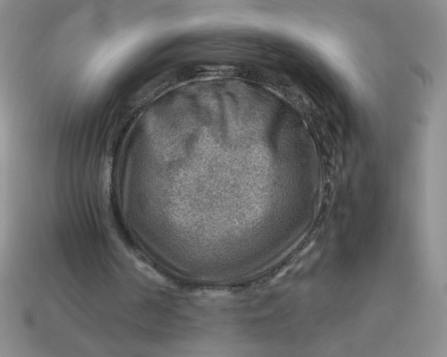 X0000113590194200910091506