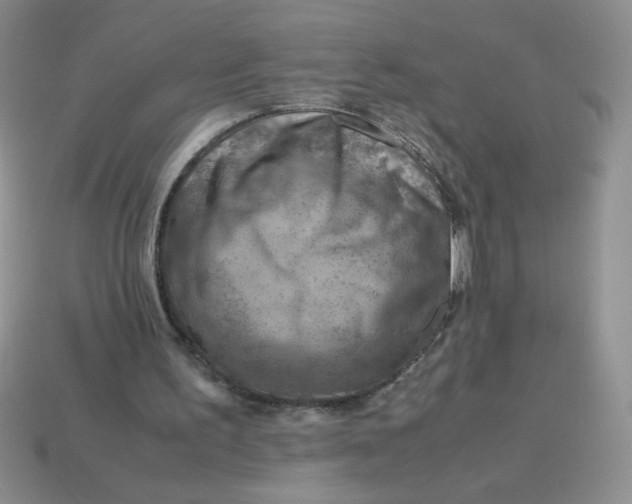 X0000113590195200910091506