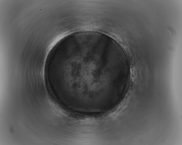 X0000113590196200910091506