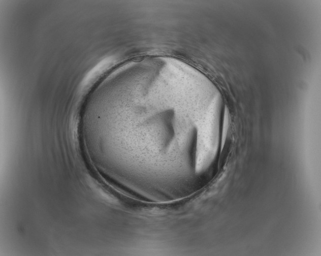 X0000113590197200910091506