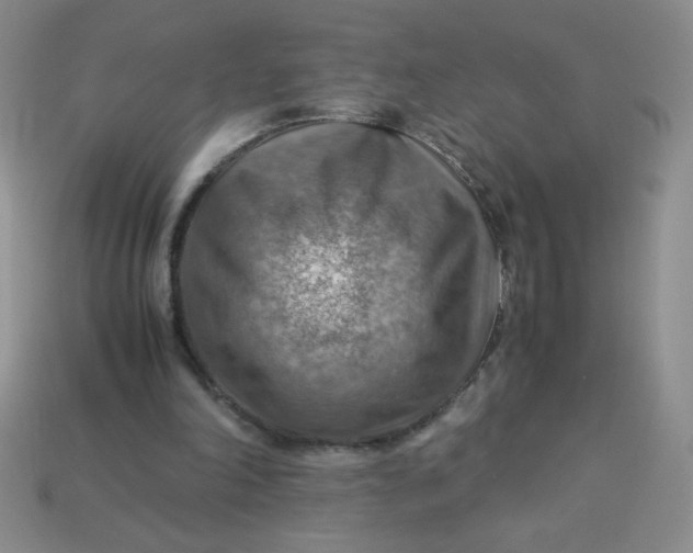 X0000113590198200910091506