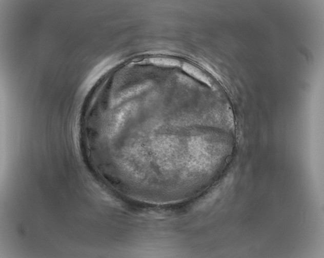 X0000113590199200910091506