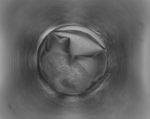 X0000113590200200910091506