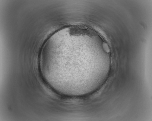 X0000113590201200910091506