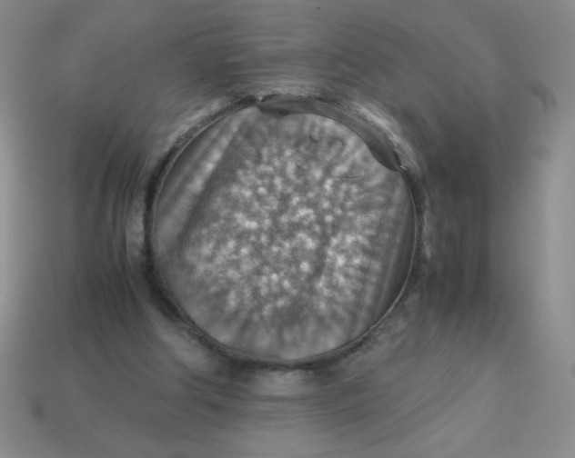 X0000113590202200910091506