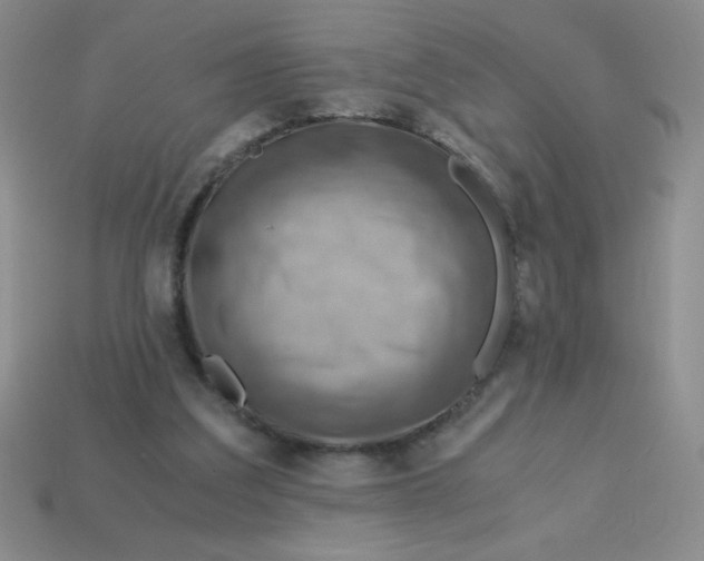 X0000113590203200910091506