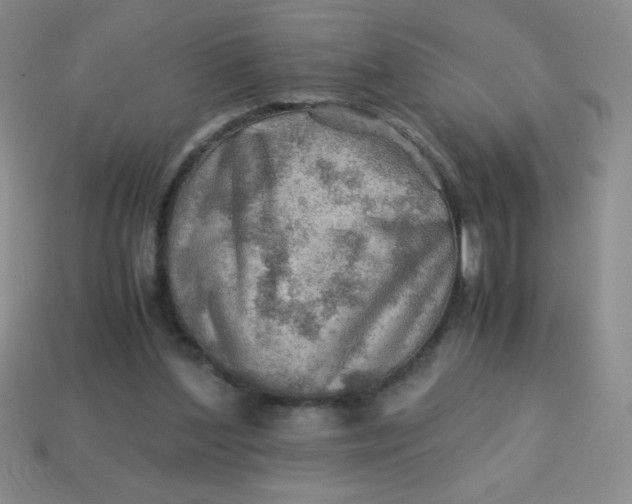 X0000113590204200910091506