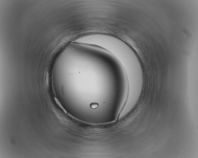 X0000113590205200910091506