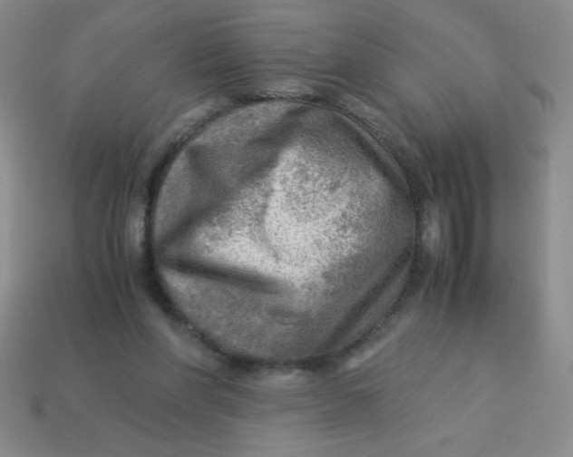 X0000113590206200910091506