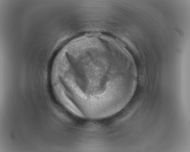 X0000113590207200910091506