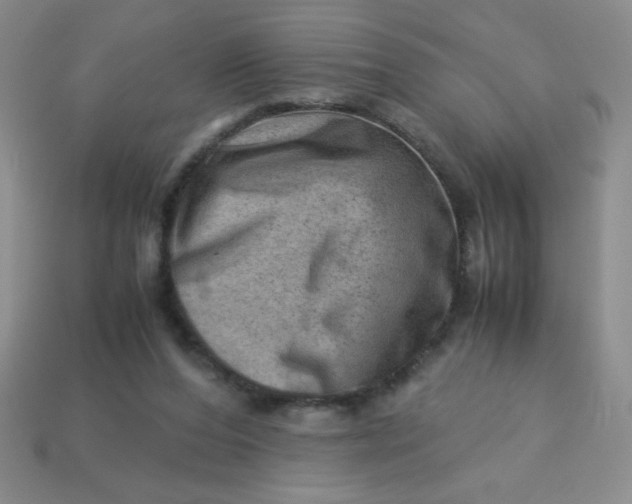 X0000113590208200910091506