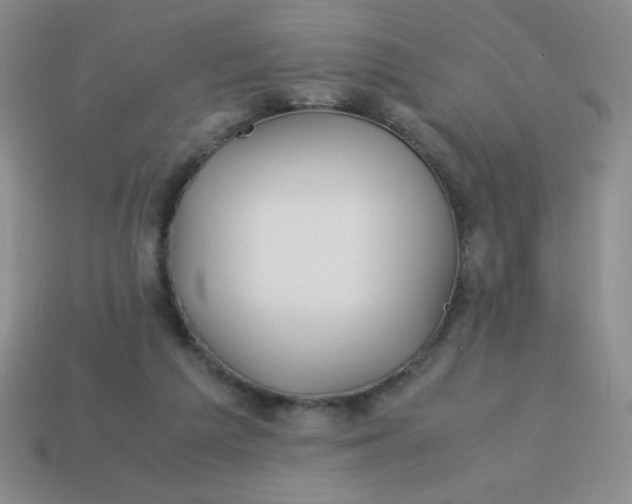 X0000113590209200910091506