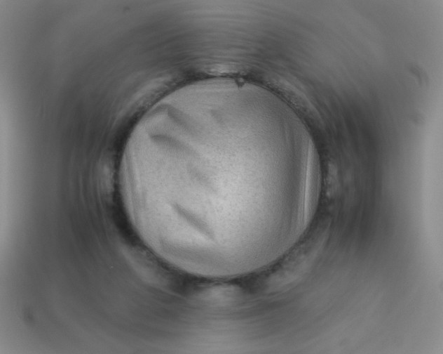 X0000113590210200910091506