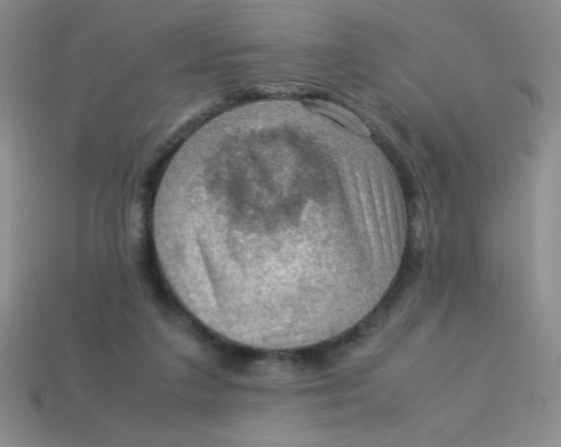 X0000113590211200910091506