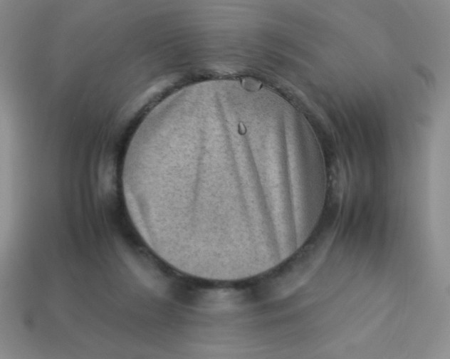 X0000113590212200910091506