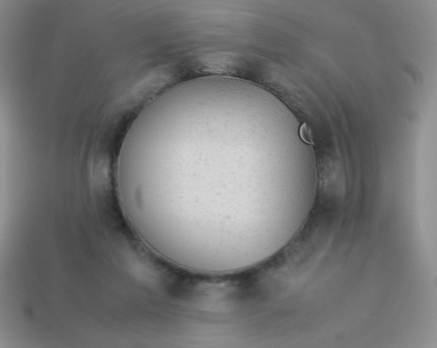 X0000113590213200910091506