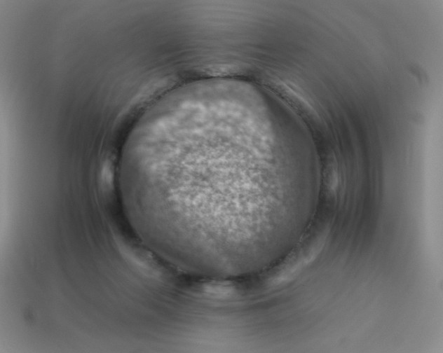 X0000113590214200910091506