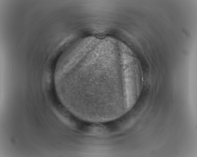 X0000113590215200910091506