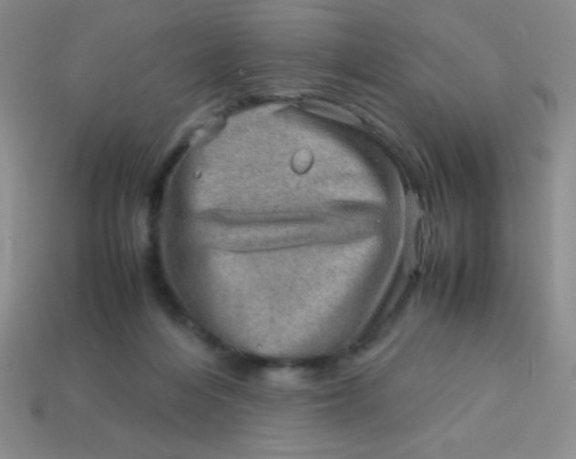 X0000113590216200910091506