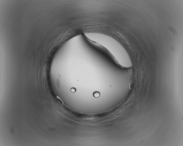 X0000113590217200910091506