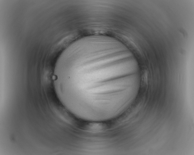 X0000113590218200910091506