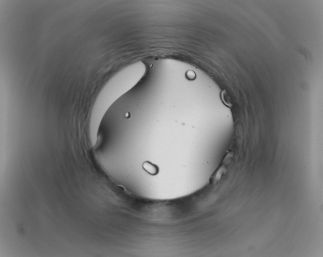 X0000113590219200910091506