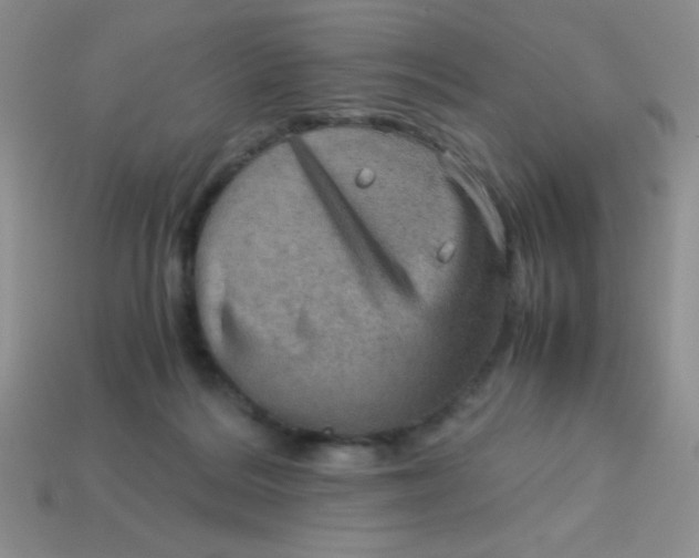 X0000113590220200910091506