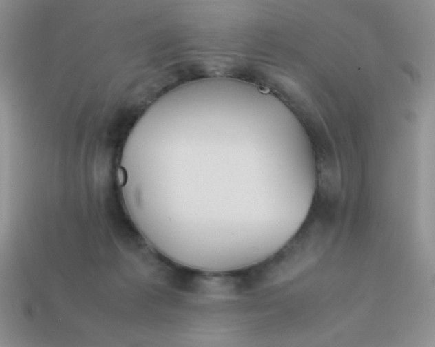 X0000113590221200910091506