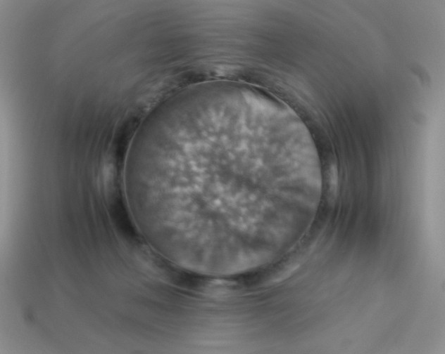 X0000113590222200910091506