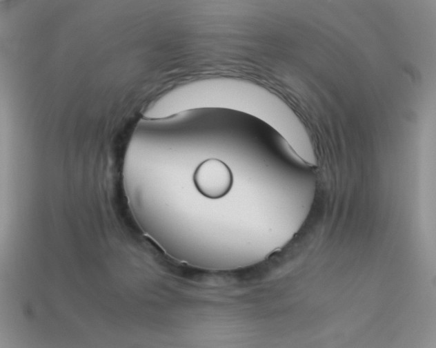 X0000113590223200910091506