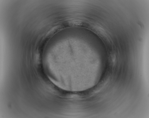 X0000113590224200910091506