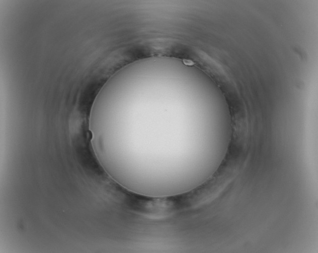 X0000113590225200910091506