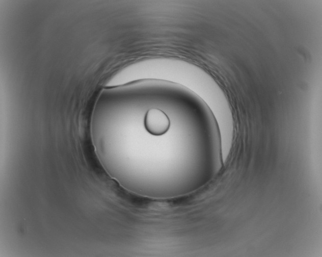 X0000113590227200910091506