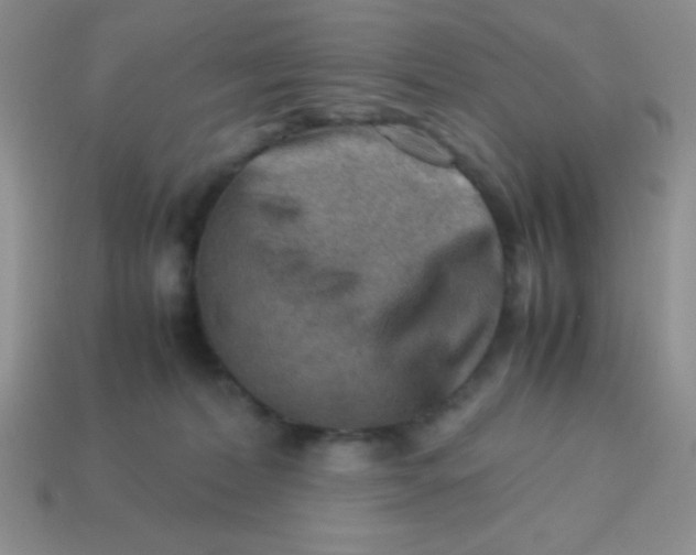 X0000113590228200910091506