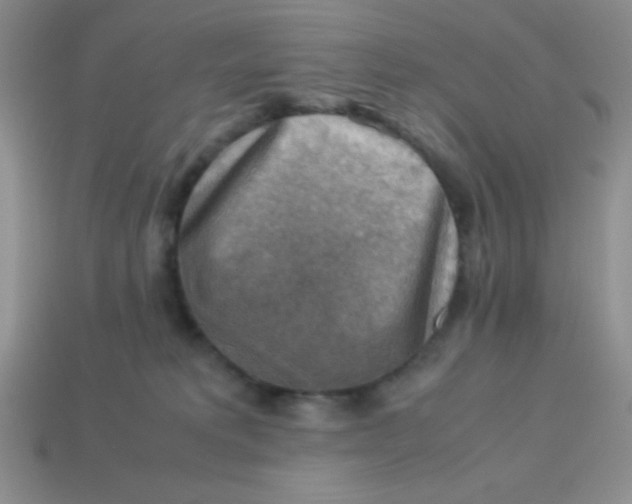 X0000113590229200910091506