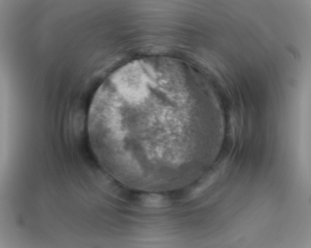 X0000113590230200910091506