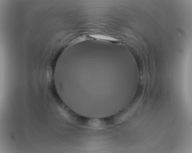 X0000113590231200910091506