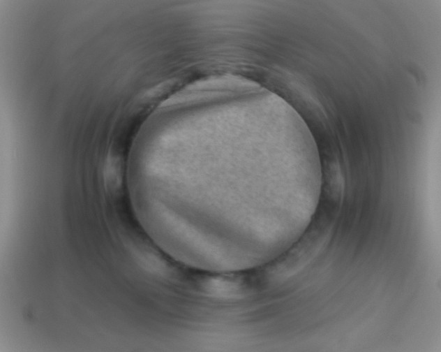 X0000113590232200910091506