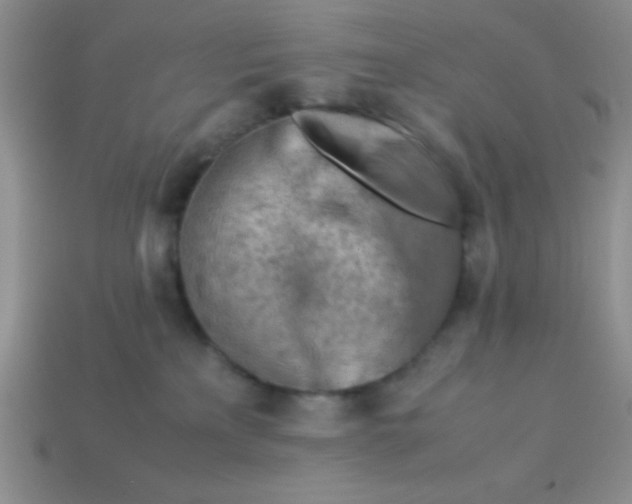 X0000113590233200910091506