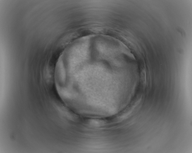 X0000113590234200910091506