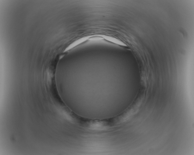 X0000113590235200910091506