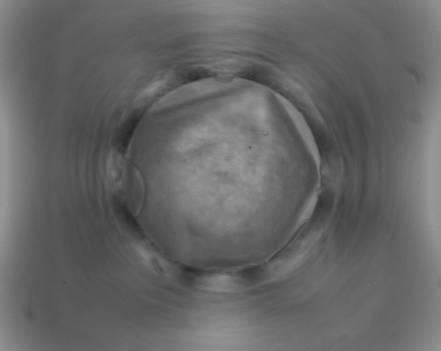 X0000113590237200910091506