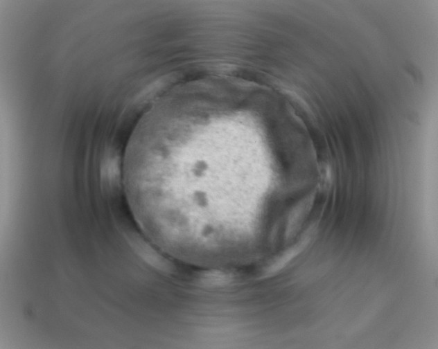 X0000113590238200910091506